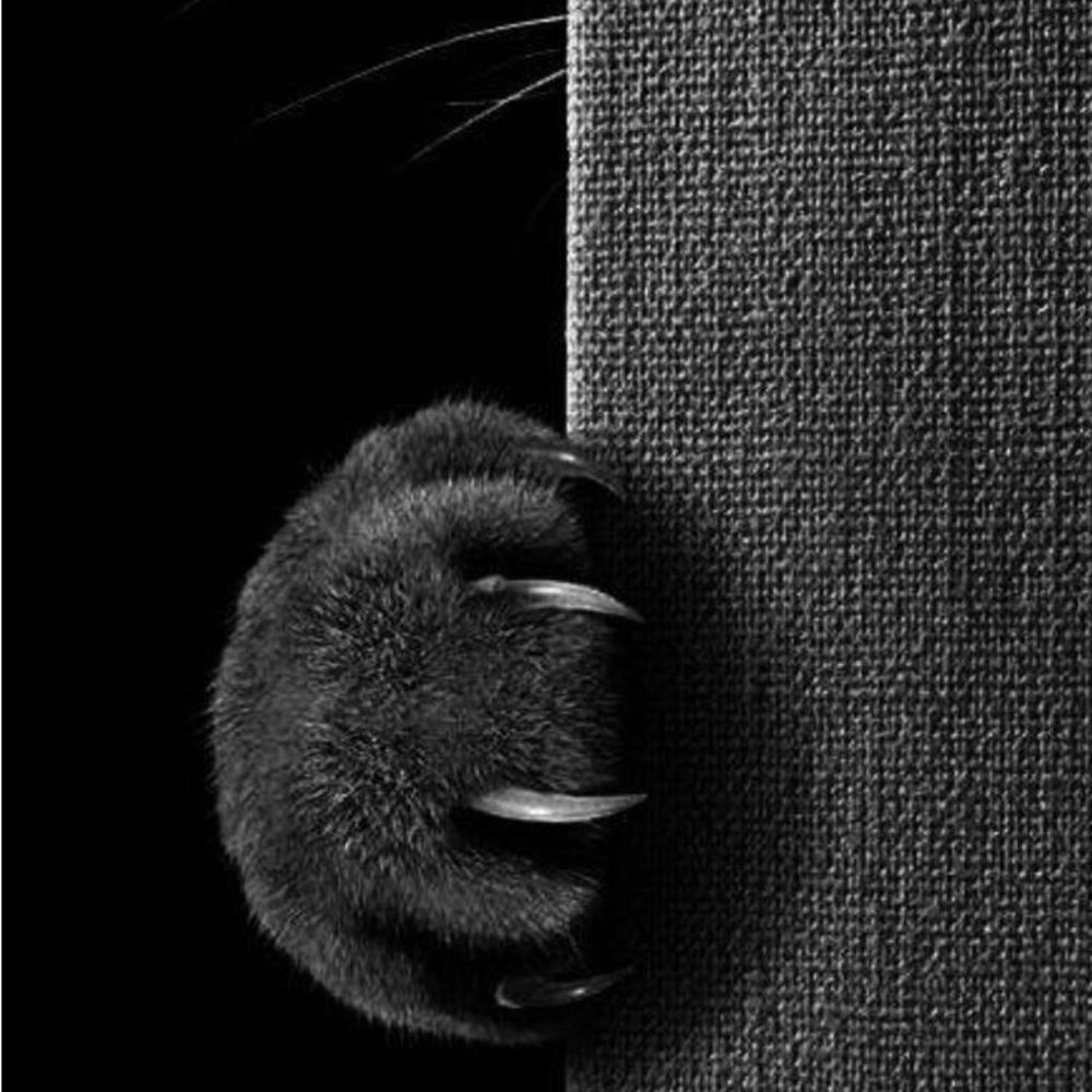 ClosetCleanOutPrices